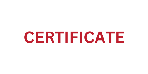 Pinocchio Audition Certificate